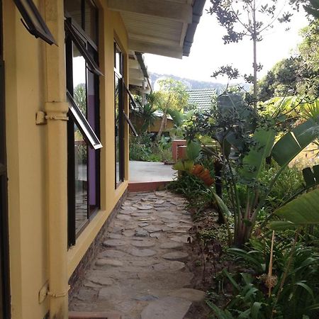 Albergue Jungle Monkey Backpackers Port Saint Johnʼs Exterior foto