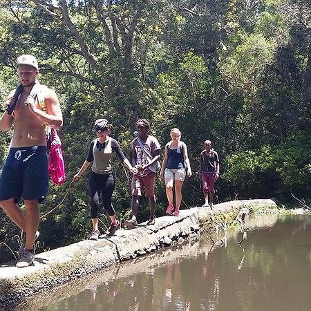 Albergue Jungle Monkey Backpackers Port Saint Johnʼs Exterior foto