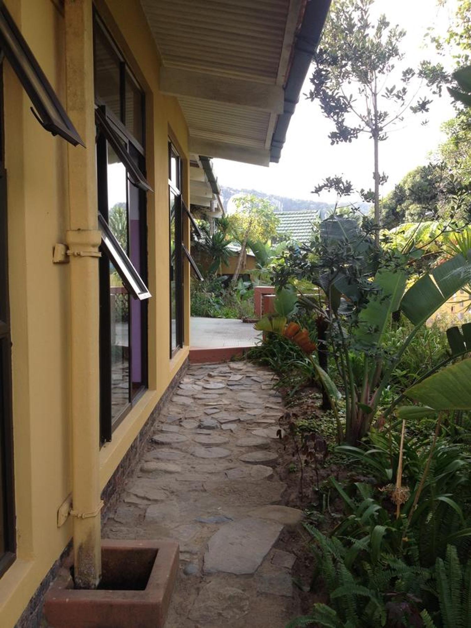 Albergue Jungle Monkey Backpackers Port Saint Johnʼs Exterior foto