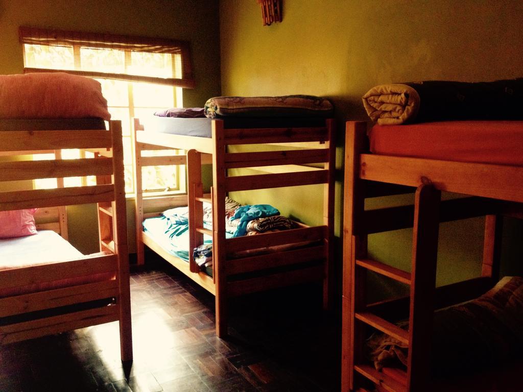 Albergue Jungle Monkey Backpackers Port Saint Johnʼs Habitación foto