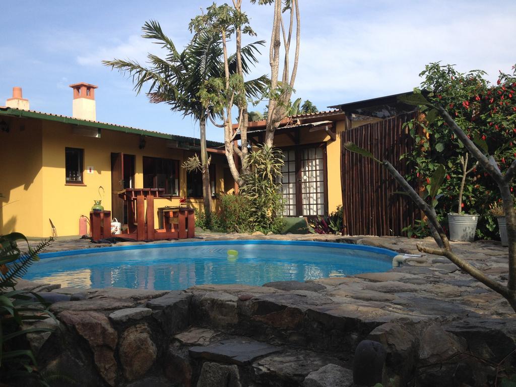 Albergue Jungle Monkey Backpackers Port Saint Johnʼs Habitación foto