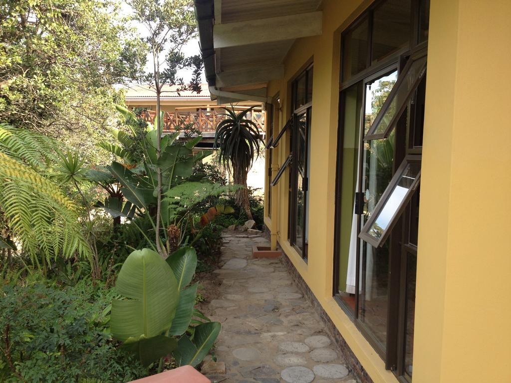 Albergue Jungle Monkey Backpackers Port Saint Johnʼs Habitación foto