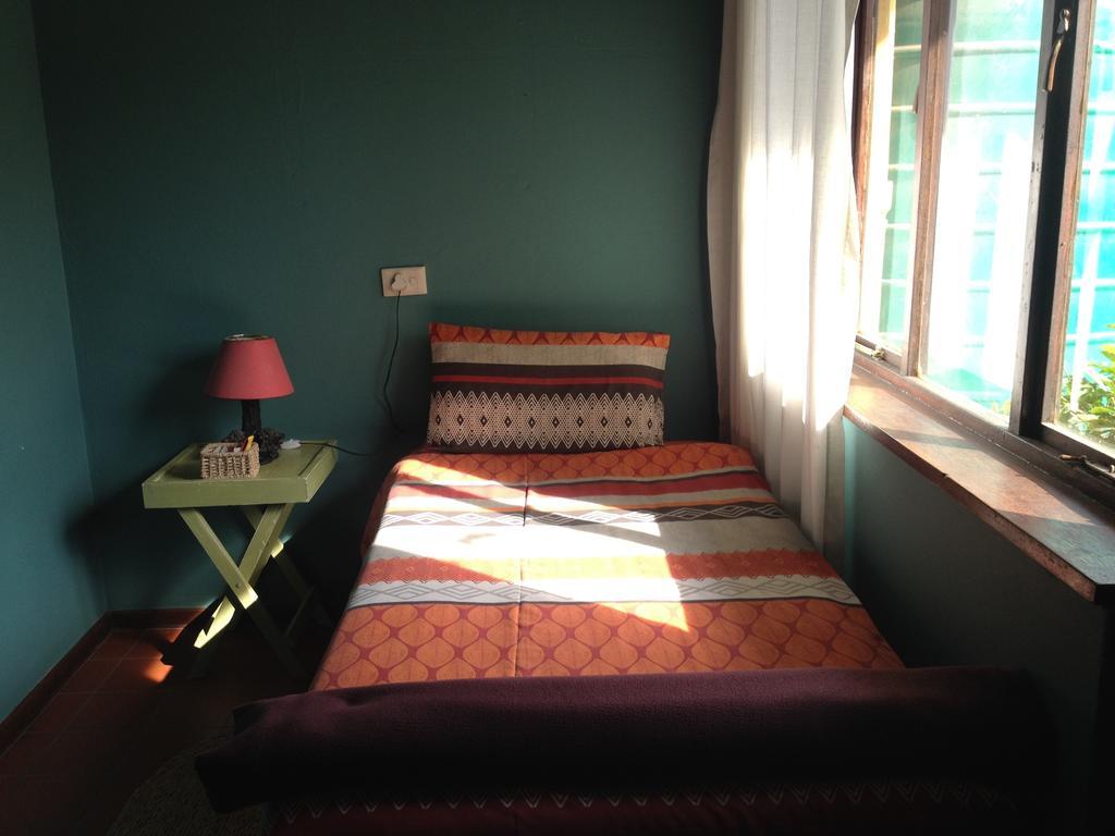Albergue Jungle Monkey Backpackers Port Saint Johnʼs Habitación foto