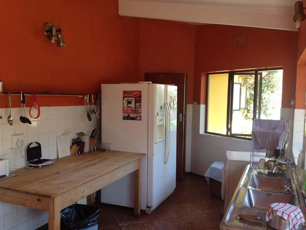 Albergue Jungle Monkey Backpackers Port Saint Johnʼs Exterior foto