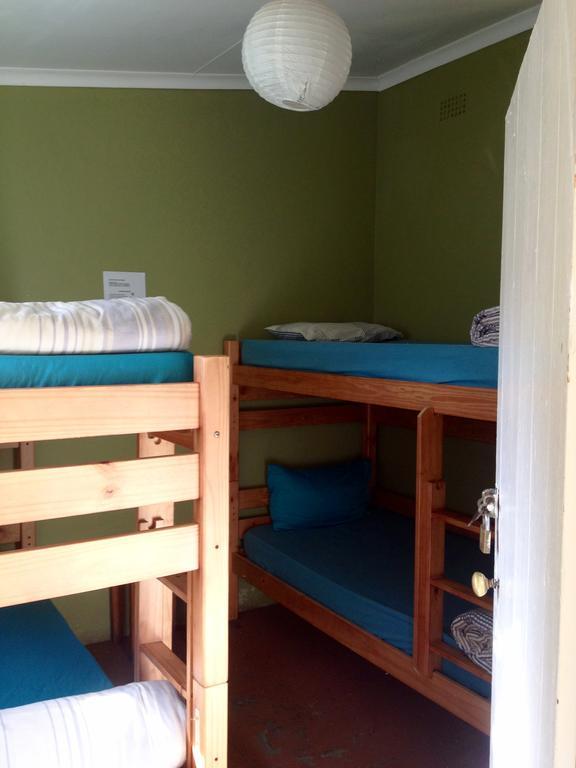 Albergue Jungle Monkey Backpackers Port Saint Johnʼs Habitación foto