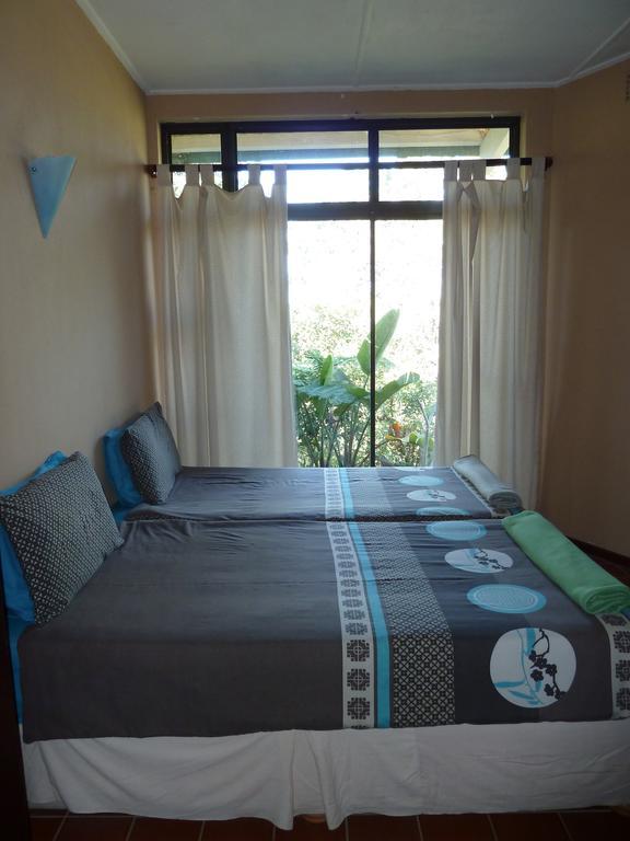 Albergue Jungle Monkey Backpackers Port Saint Johnʼs Habitación foto