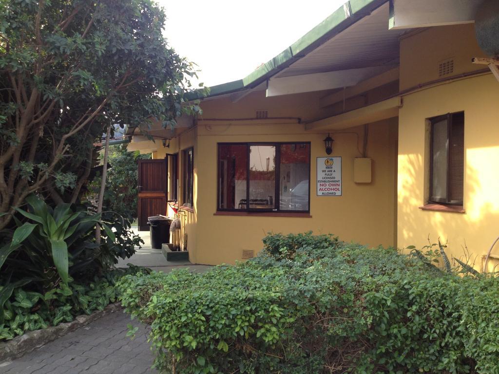 Albergue Jungle Monkey Backpackers Port Saint Johnʼs Habitación foto
