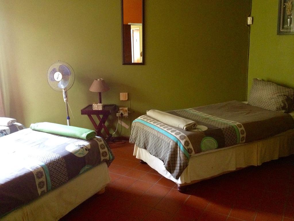 Albergue Jungle Monkey Backpackers Port Saint Johnʼs Habitación foto