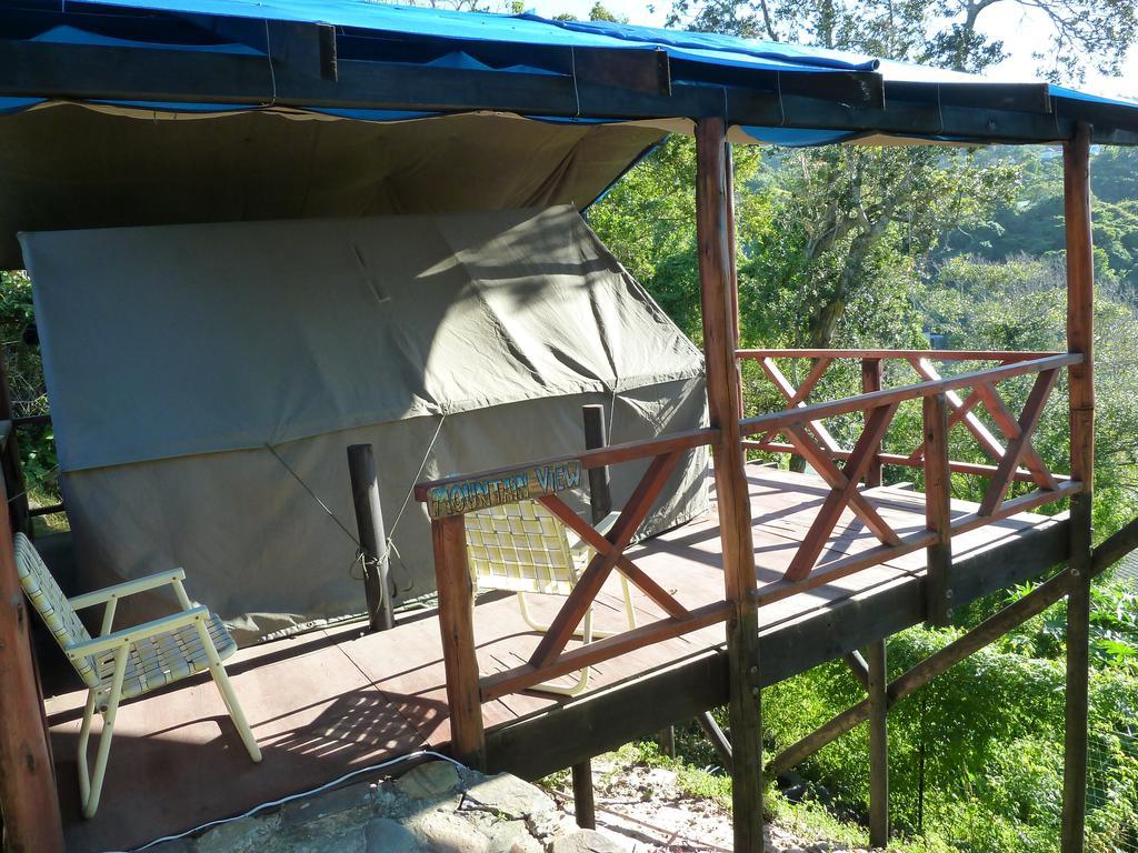 Albergue Jungle Monkey Backpackers Port Saint Johnʼs Habitación foto