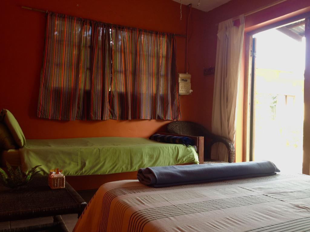 Albergue Jungle Monkey Backpackers Port Saint Johnʼs Habitación foto