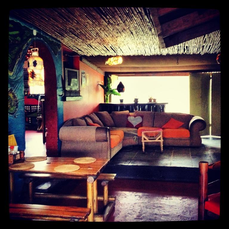 Albergue Jungle Monkey Backpackers Port Saint Johnʼs Exterior foto