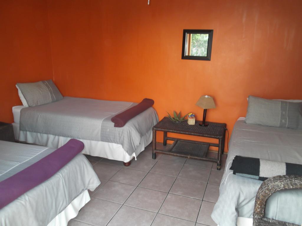 Albergue Jungle Monkey Backpackers Port Saint Johnʼs Exterior foto