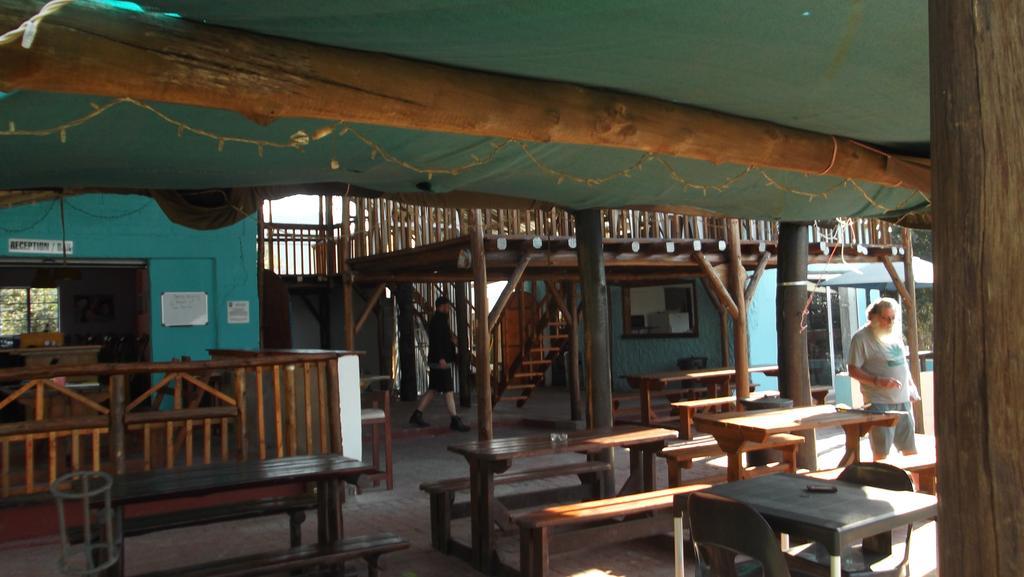 Albergue Jungle Monkey Backpackers Port Saint Johnʼs Exterior foto
