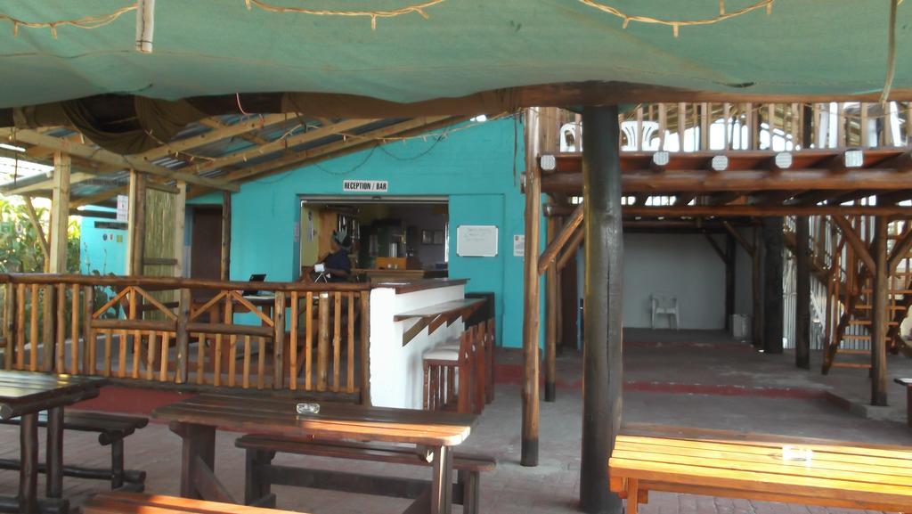Albergue Jungle Monkey Backpackers Port Saint Johnʼs Exterior foto